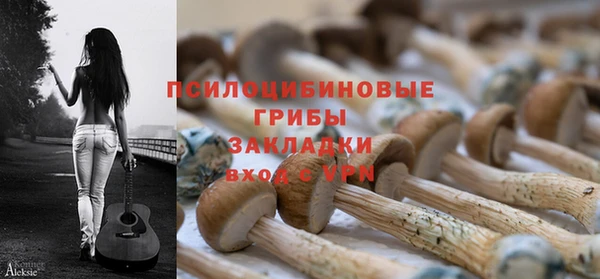 бошки Богородск