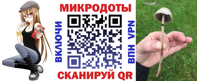 Псилоцибиновые грибы прущие грибы  Новомичуринск 